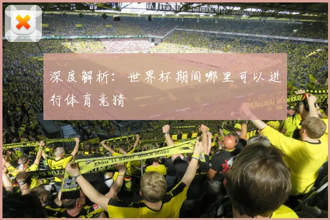 深度解析：世界杯期间哪里可以进行体育竞猜
