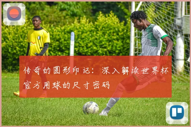传奇的圆形印记：深入解读世界杯官方用球的尺寸密码