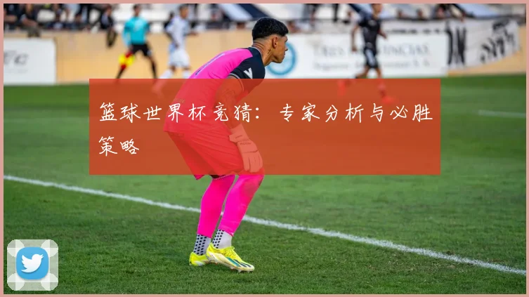 篮球世界杯竞猜：专家分析与必胜策略