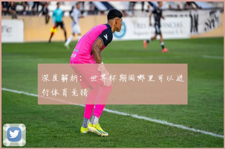深度解析:世界杯期间哪里可以进行体育竞猜