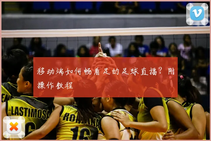 移动端如何畅看足的足球直播？附操作教程