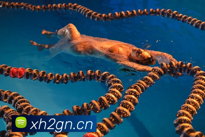 乐鱼网页版官方登录入口APP 高清赛事图